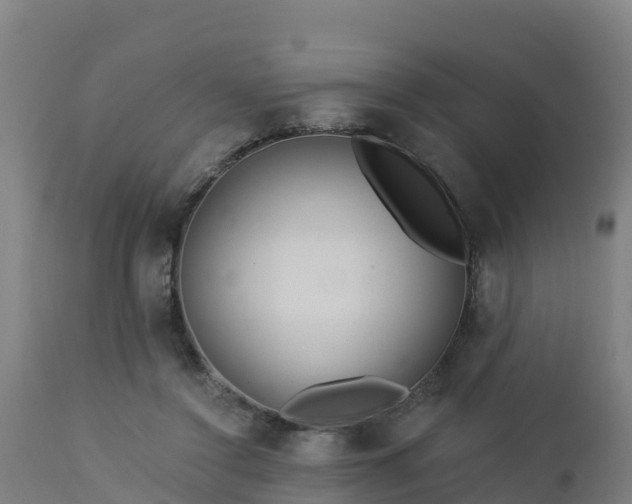 X0000112890356200908281706