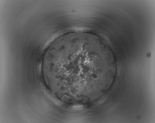 X0000112890357200908281706