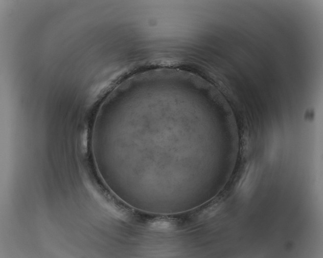 X0000112890358200908281706
