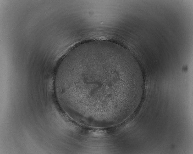 X0000112890359200908281706