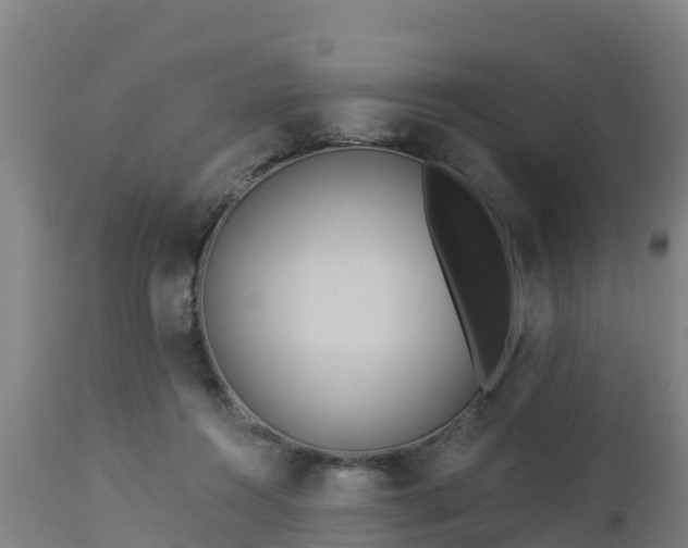X0000112890360200908281706