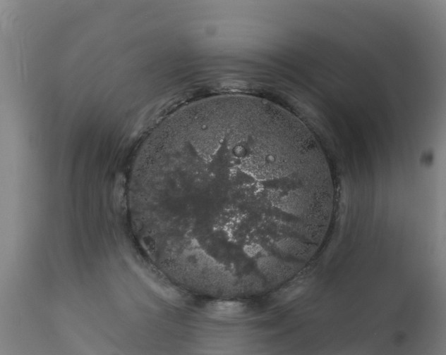 X0000112890361200908281706
