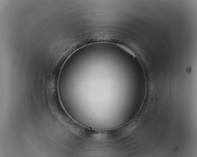 X0000112890362200908281706