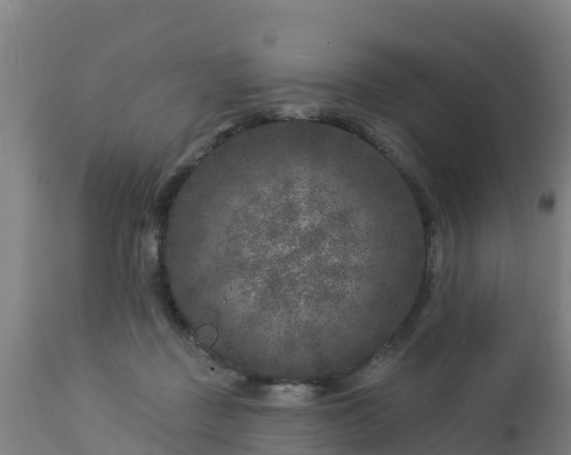 X0000112890363200908281706