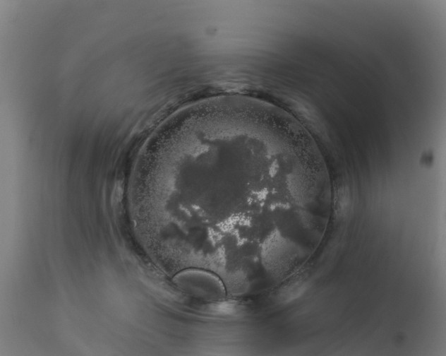 X0000112890365200908281706