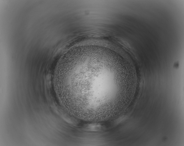 X0000112890366200908281706