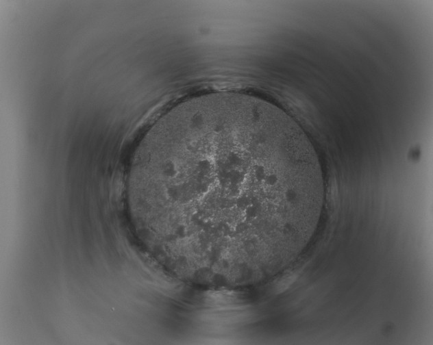 X0000112890367200908281706