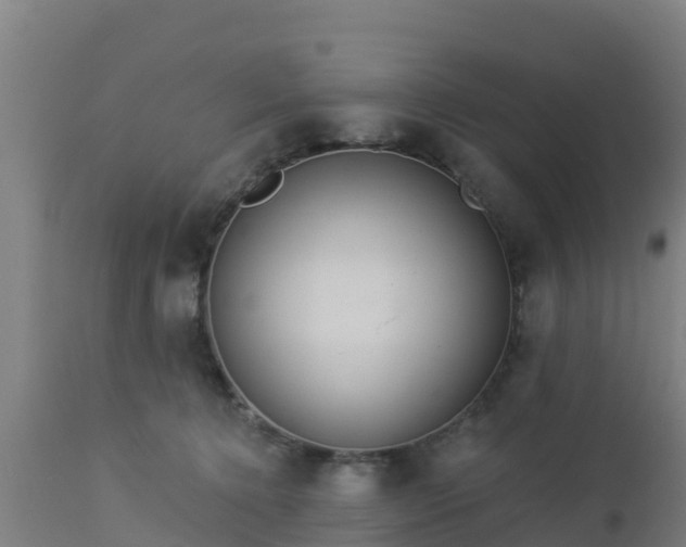 X0000112890368200908281706