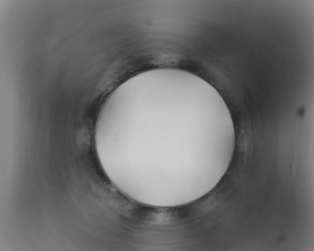 X0000112890370200908281706
