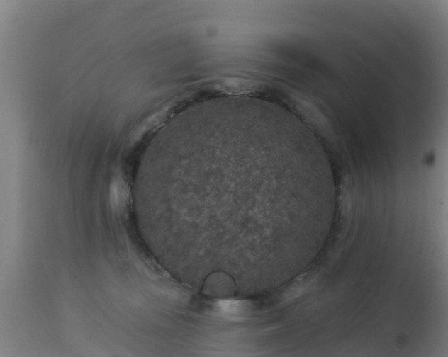 X0000112890371200908281706