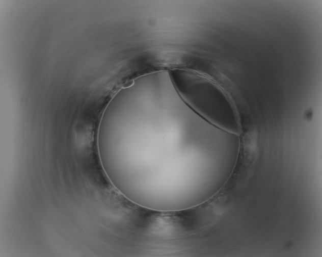 X0000112890372200908281706