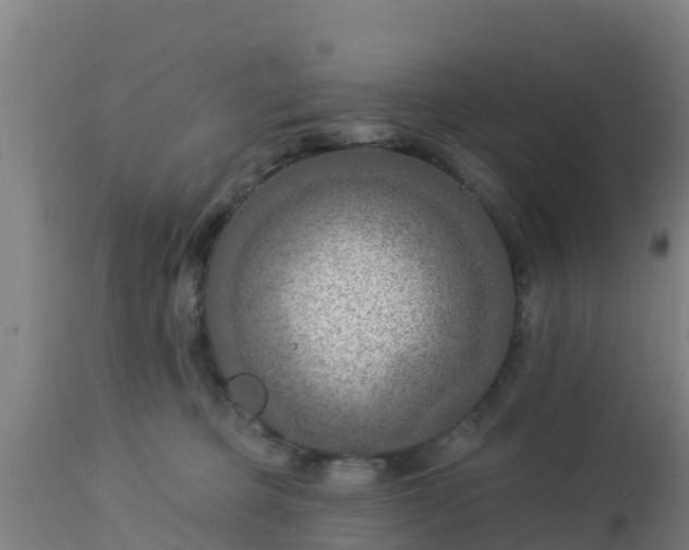 X0000112890373200908281706