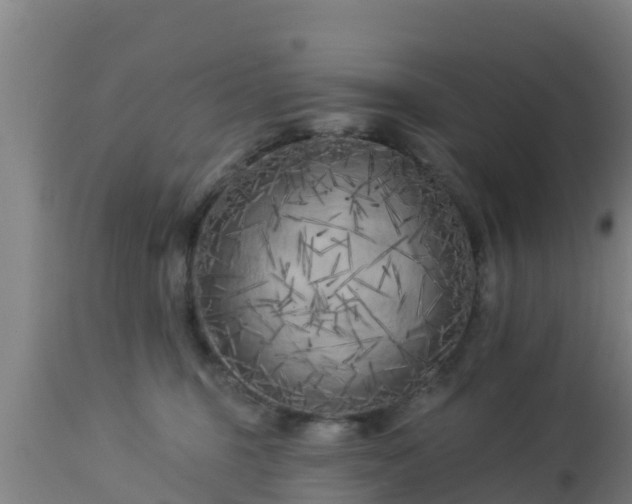 X0000112890375200908281706