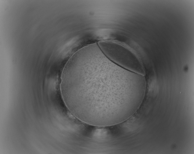 X0000112890376200908281706