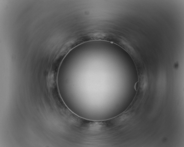 X0000112890378200908281706