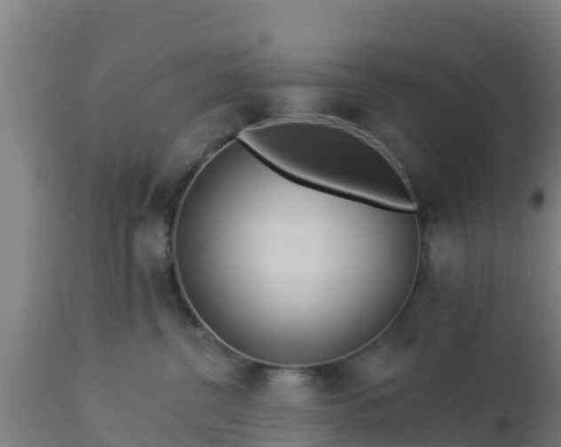 X0000112890380200908281706