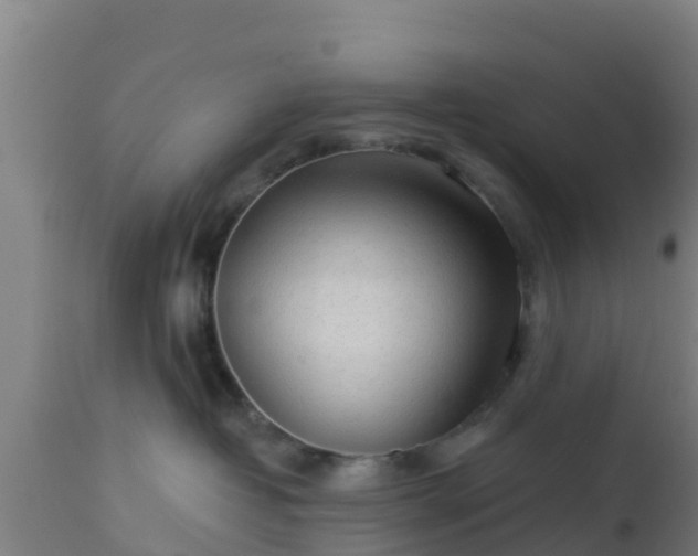 X0000112890382200908281706