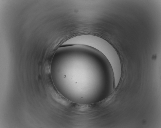 X0000112890384200908281706