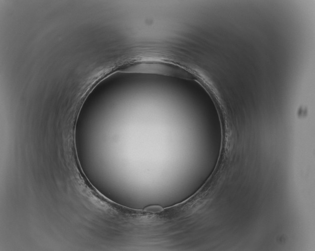 X0000112890385200908281706