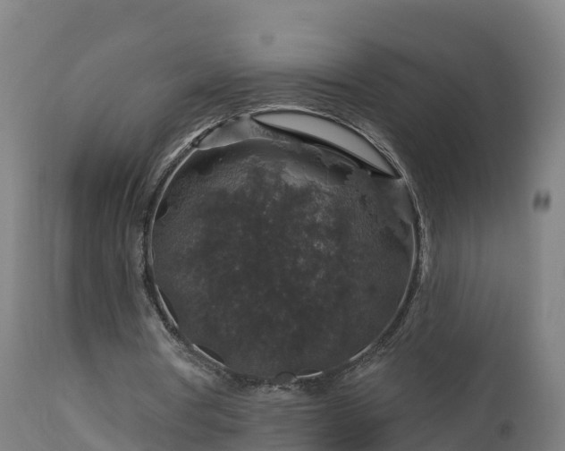 X0000112890386200908281706