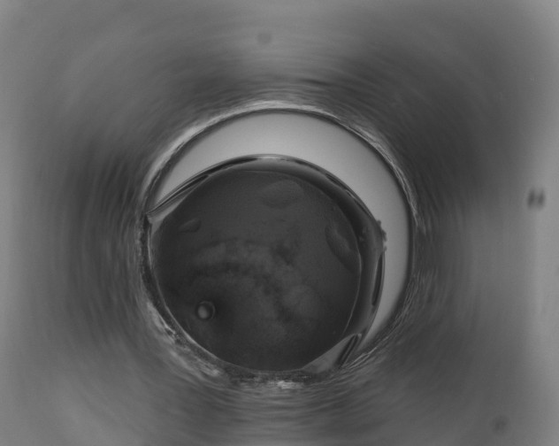 X0000112890387200908281706