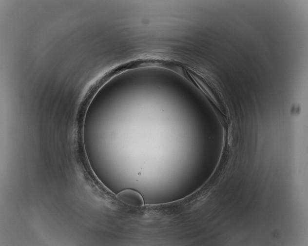 X0000112890388200908281706