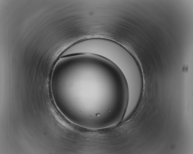 X0000112890389200908281706