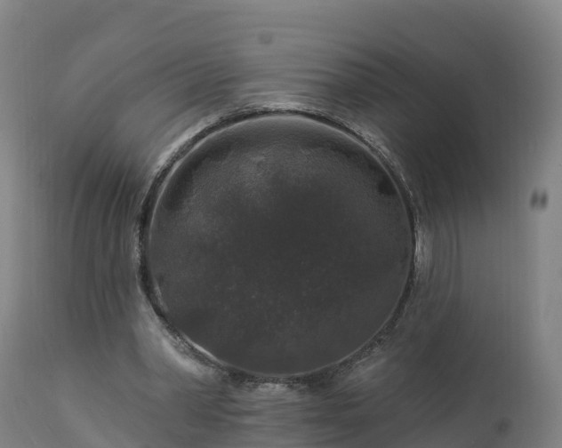 X0000112890390200908281706