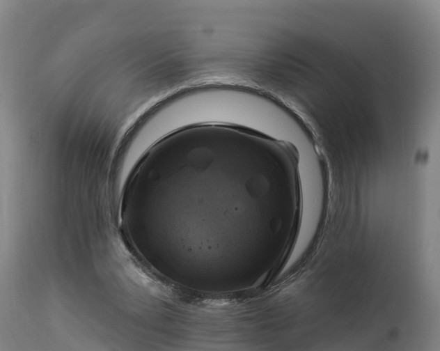 X0000112890391200908281706