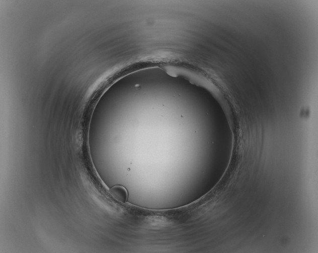 X0000112890392200908281706