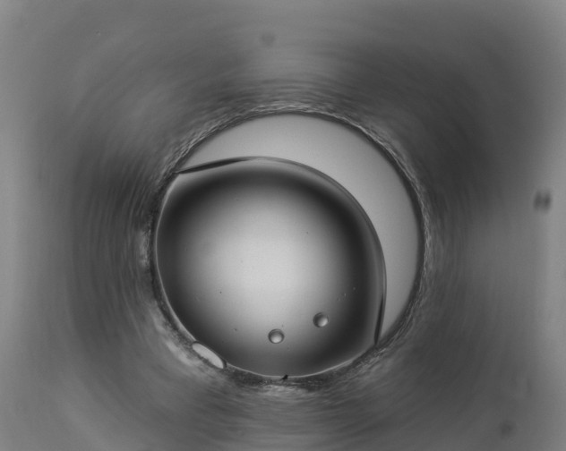X0000112890393200908281706