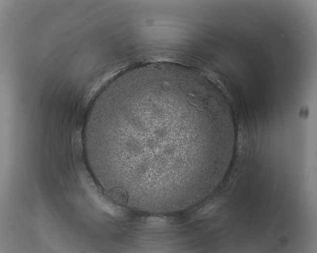 X0000112890394200908281706
