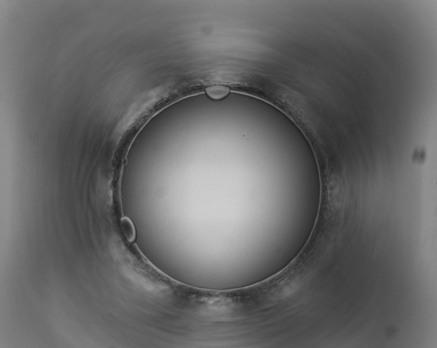 X0000112890395200908281706