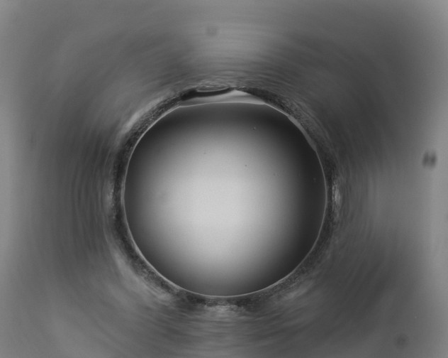 X0000112890396200908281706