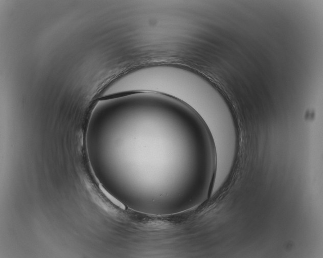 X0000112890397200908281706