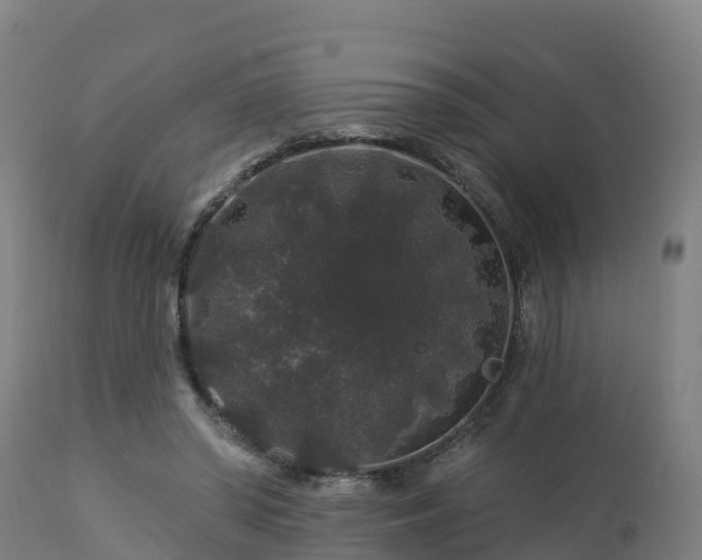 X0000112890398200908281706