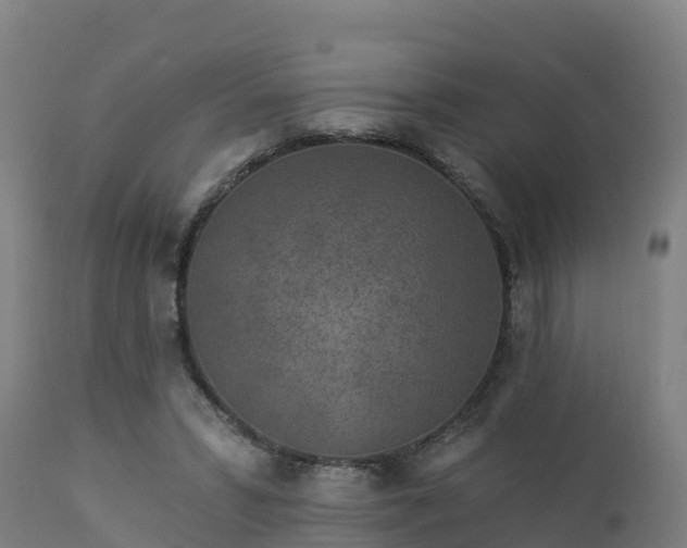 X0000112890399200908281706