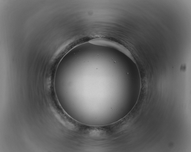 X0000112890400200908281706