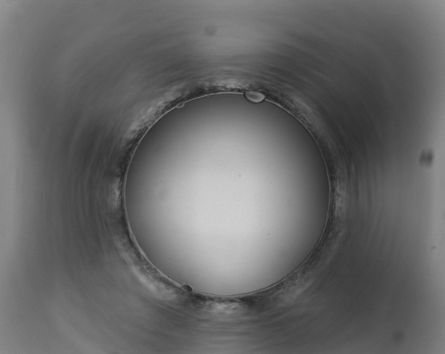 X0000112890401200908281706