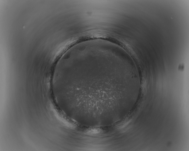 X0000112890402200908281706