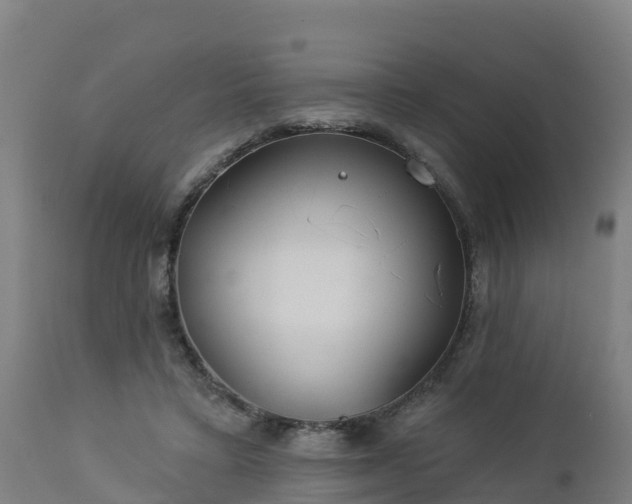X0000112890403200908281706
