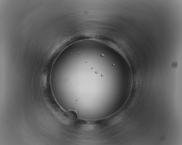 X0000112890404200908281705