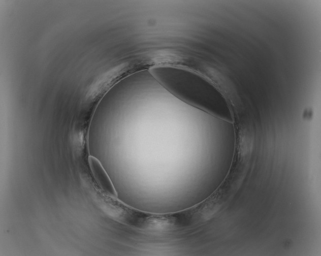 X0000112890405200908281705
