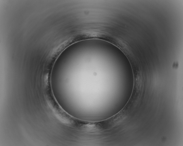 X0000112890406200908281705