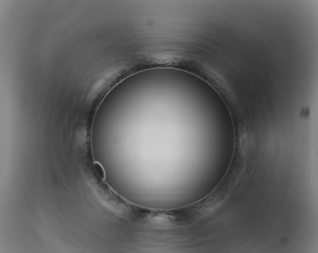 X0000112890407200908281705