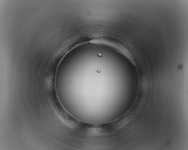 X0000112890408200908281705