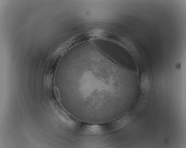 X0000112890409200908281705