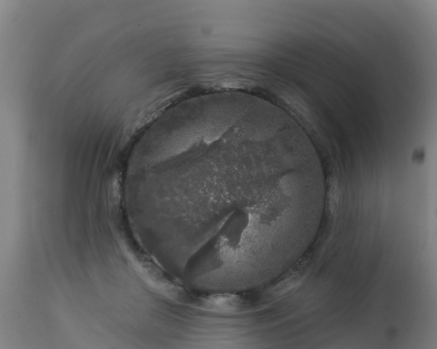 X0000112890410200908281705
