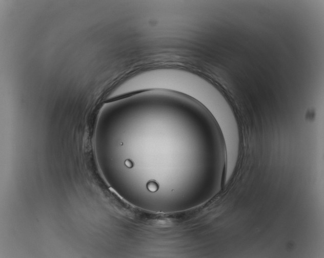 X0000112890411200908281705