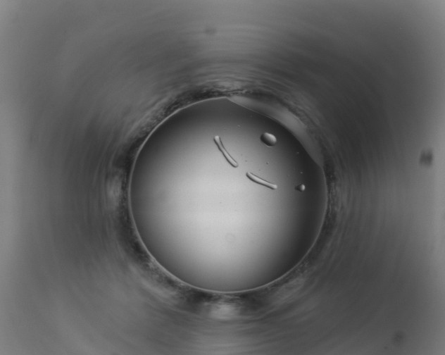 X0000112890412200908281705
